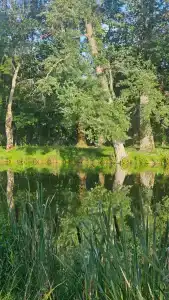 Свяцкі Палац - 23