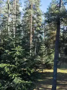 Тихое место - 47