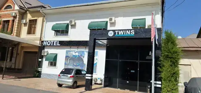 Twins - 1