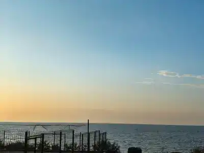 Морская жемчужина - 36