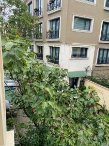 Troya Balat - 14