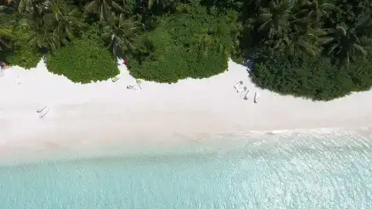 Biyadhoo Island Resort - 43