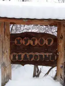 Хутор Кедровый на Зеленом острове - 16