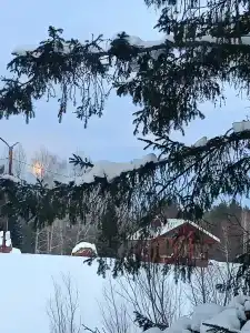 Янов хутор - 33