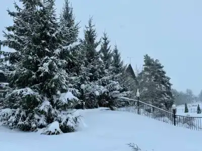 Усадьба - 38