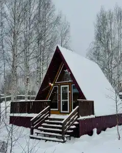 Скворцы - 0