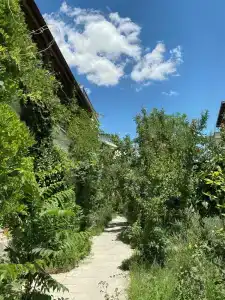 Kemal's Guest House - 31