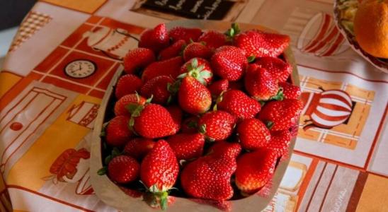 La Mimosa Case Vacanze - 23