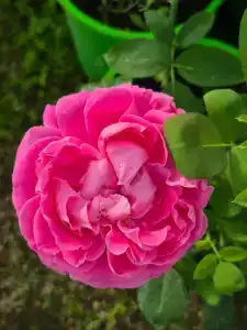 Кулаково - 59