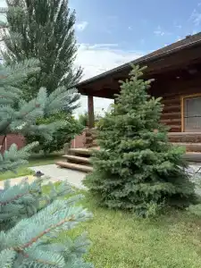 Трофей - 9