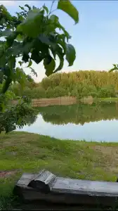 Багатто - 48