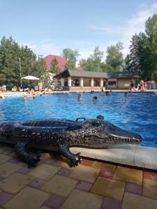 Осинки - 23