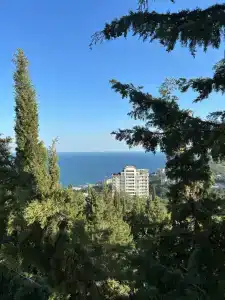 Видовой - 44
