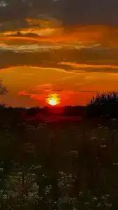 Дом Аиста - 56