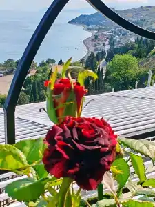 Панорама - 88