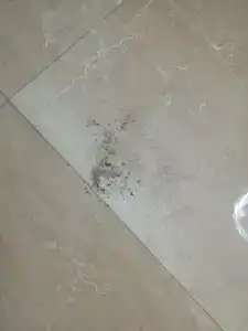 Айвазовский - 27