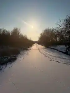 БенелюксДон - 80