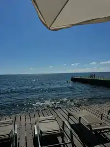 Эколоджия - 90