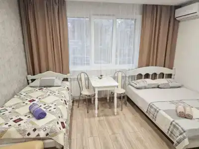 Рея Дубровка - 6