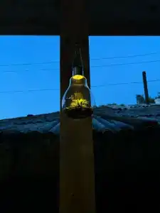 Малинки на Байкале - 30