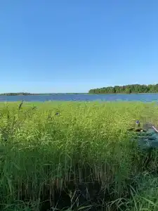 Загородный - 46