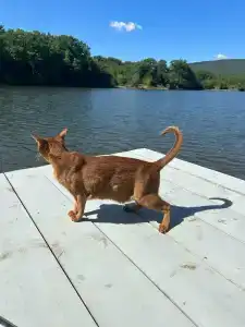 Солнечное озеро - 34