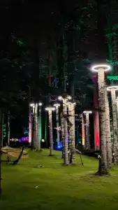 Magic Forest - 45