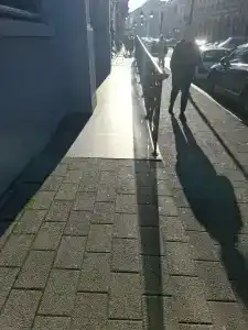 Pupin Novi Sad - 12