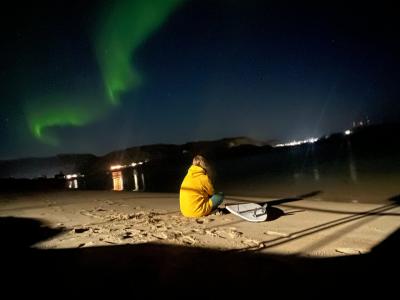 Арктик серф - 38