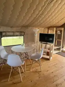 Птички - 20