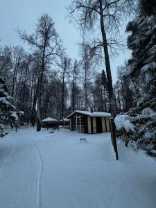 Park-kart - 25