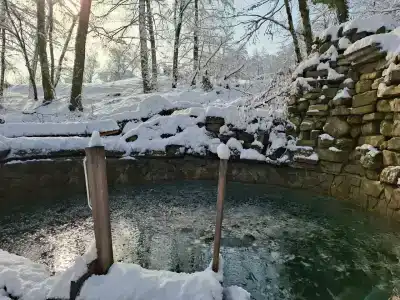 Лебедево озеро - 13