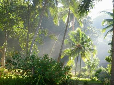 Sweet Cinnamon Kandy - 21