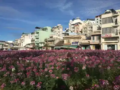 Zen Valley Dalat - 1