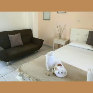 Zante Flower Studios & - 26