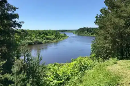 Медведь - 2