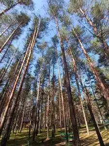 Весьегонский остров - 9