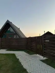 Страусы Биляра - 35
