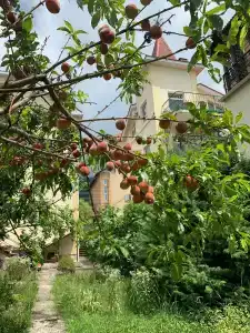 Ракета на Циолковского - 7