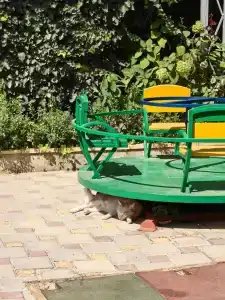 Морское Небо - 45