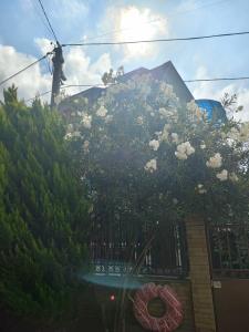 Мини отель Асхо - 87