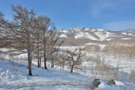 Вершина - 15