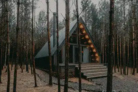 Место под соснами - 18
