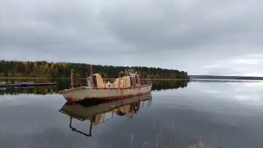 Нереис - 40