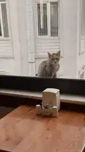 Ahmet Efendi Konağı - 12