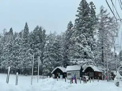 Hakuba Sun Valley - 35
