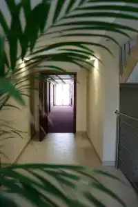 Grand Felix - 5