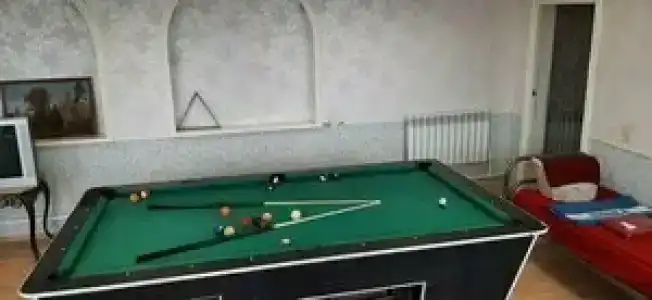 Дельфин - 21