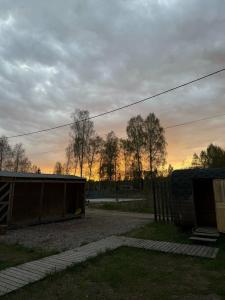 Forest life - 49
