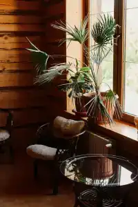 Алексеевская Усадьба - 32